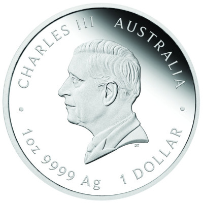 "One Love" 2026 - 1 Oz - Pièce d'argent