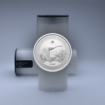 Tube Goose 2 Oz, diameter 38 mm - empty