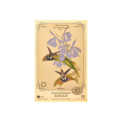 La collection John et Elizabeth Gould - Colibris - Billets Doré