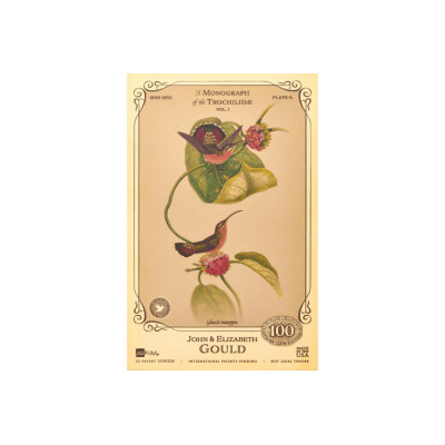 La collection John et Elizabeth Gould - Colibris - Billets Doré