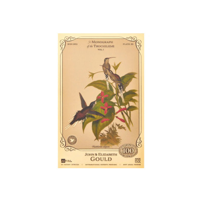 La collection John et Elizabeth Gould - Colibris - Billets Doré