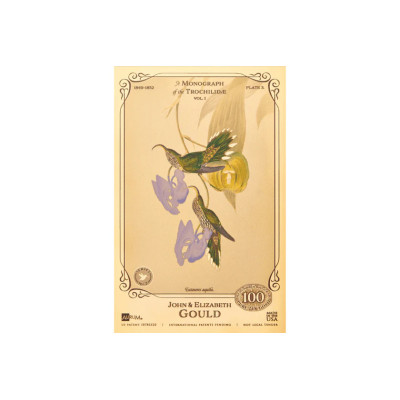 De John en Elizabeth Gould - Collectie 'Gold Bill' van kolibries