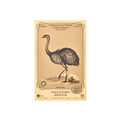 The John and Elizabeth Gould Aurum - H.M.S. Beagle-collectie gouden bankbiljetten