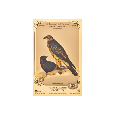 The John and Elizabeth Gould Aurum - H.M.S. Beagle-collectie gouden bankbiljetten
